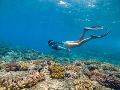 Woman snorkeling at reef
